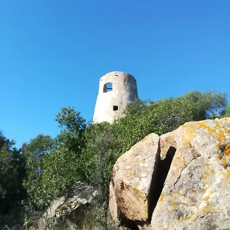 شقة Grazioso